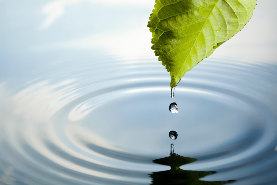 Water Sustainability